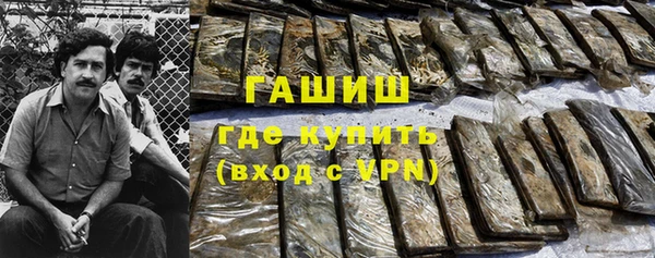прущие грибы Алзамай