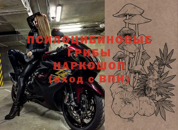 прущие грибы Алзамай
