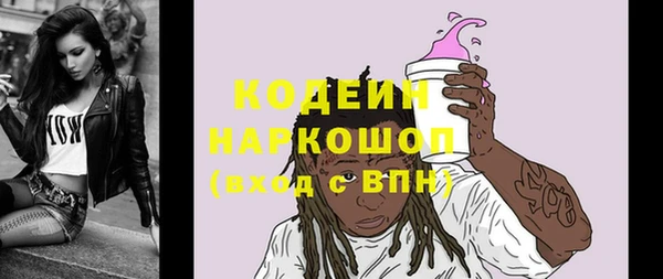 прущие грибы Алзамай