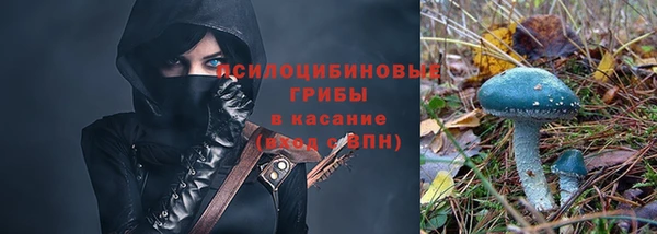 a pvp Алексеевка